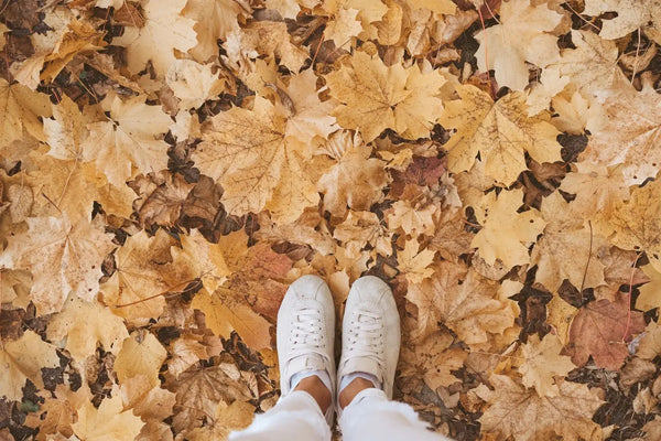 Person mit weißen Turnschuhen steht auf einem Boden voller gelb-brauner Herbstblätter.